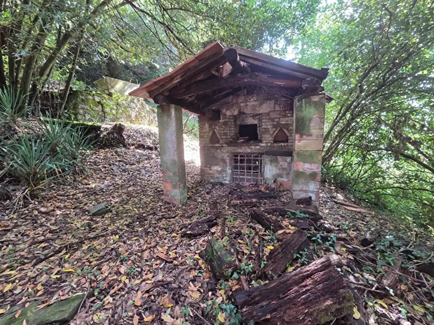 Immagine 13 di Casa colonica in vendita  a Lucca