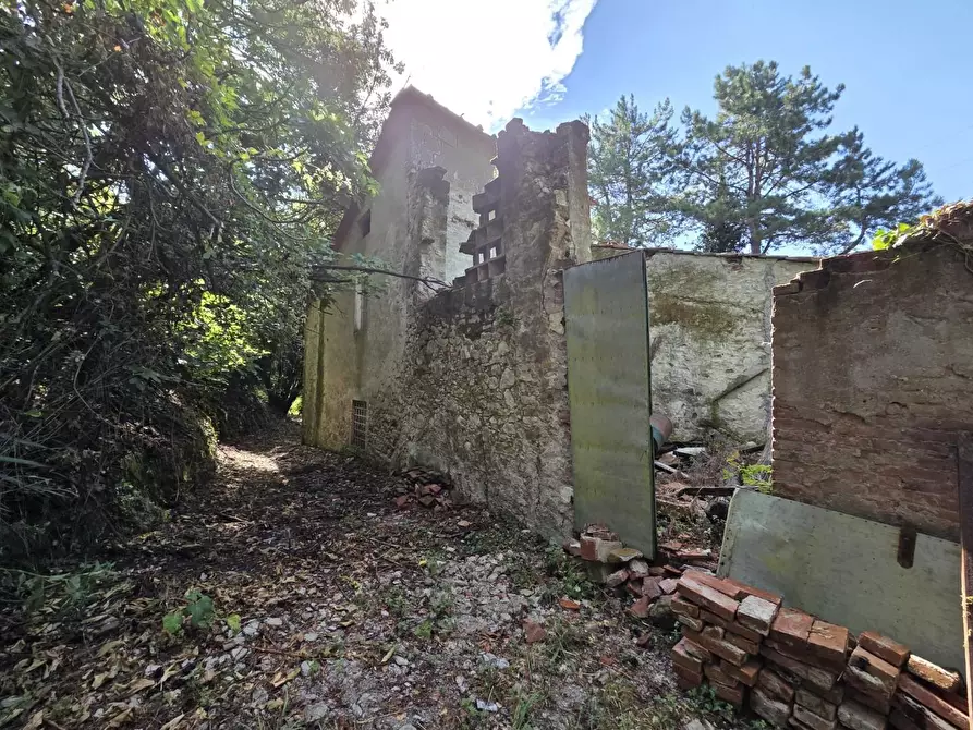Immagine 22 di Casa colonica in vendita  a Lucca