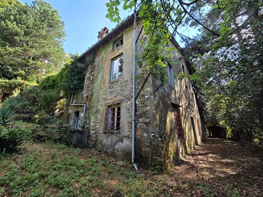 Immagine 28 di Casa colonica in vendita  a Lucca