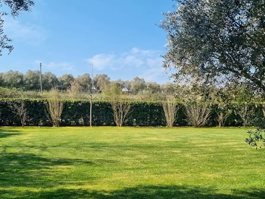 Immagine 9 di Villa in vendita  a Crespina Lorenzana