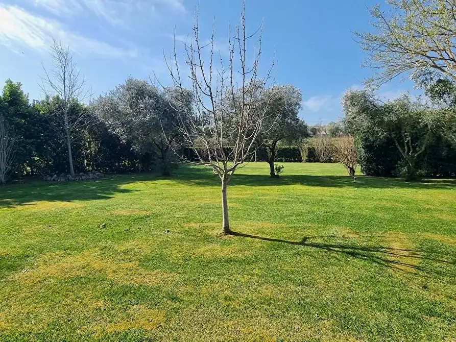 Immagine 8 di Villa in vendita  a Crespina Lorenzana