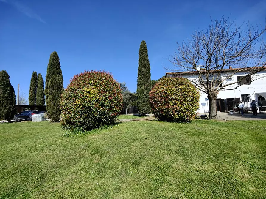 Immagine 28 di Casa colonica in vendita  a Santa Croce Sull'arno