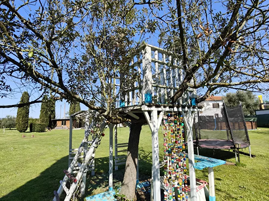 Immagine 22 di Casa colonica in vendita  a Santa Croce Sull'arno