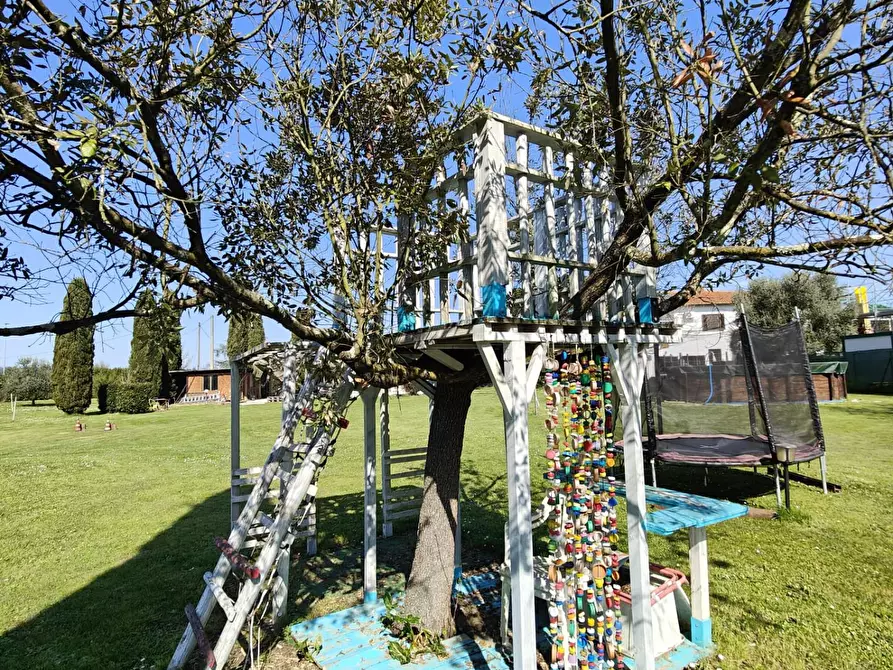 Immagine 26 di Casa colonica in vendita  a Santa Croce Sull'arno