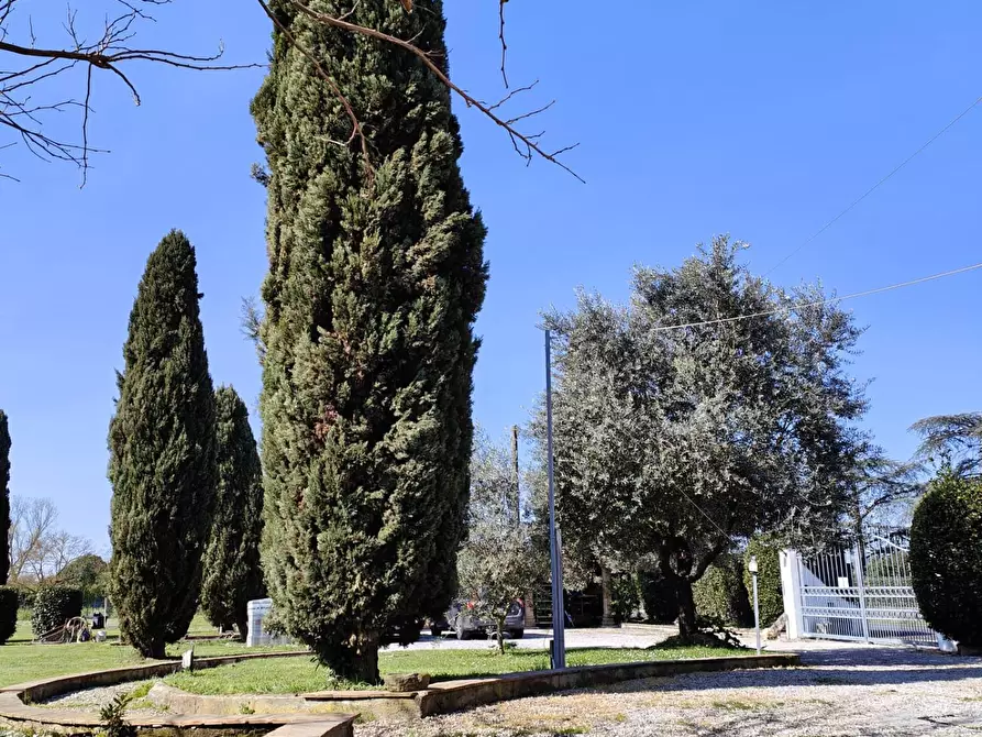 Immagine 30 di Casa colonica in vendita  a Santa Croce Sull'arno