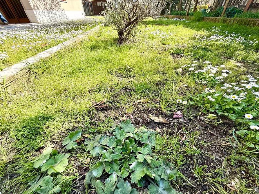 Immagine 2 di Appartamento in vendita  a Ponsacco