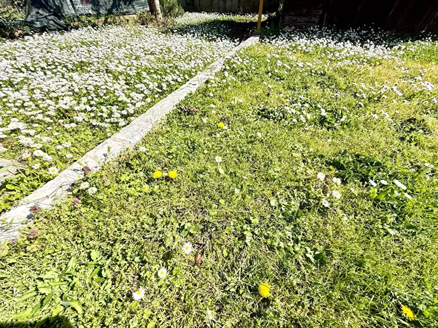 Immagine 7 di Appartamento in vendita  a Ponsacco