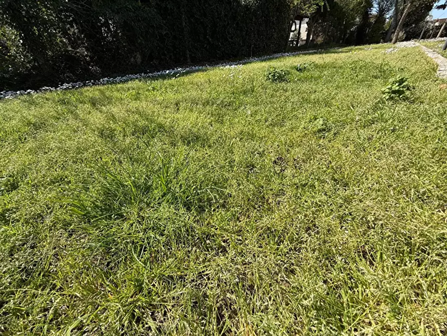 Immagine 10 di Appartamento in vendita  a Ponsacco