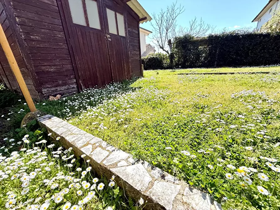 Immagine 16 di Appartamento in vendita  a Ponsacco