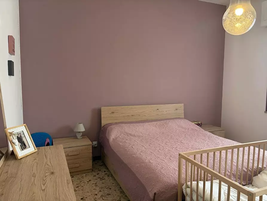 Immagine 12 di Appartamento in vendita  a Bibbona