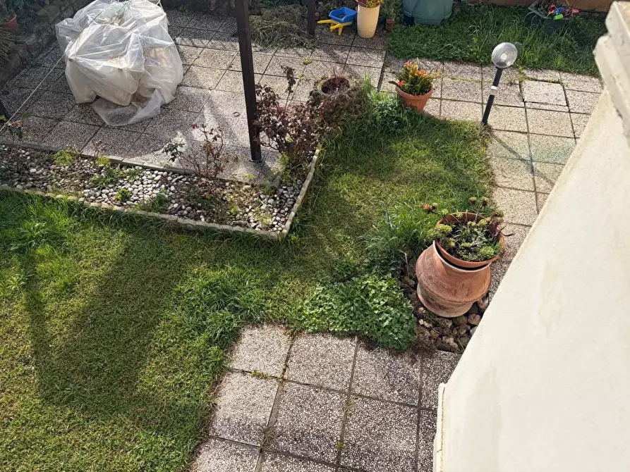 Immagine 19 di Appartamento in vendita  a Bibbona