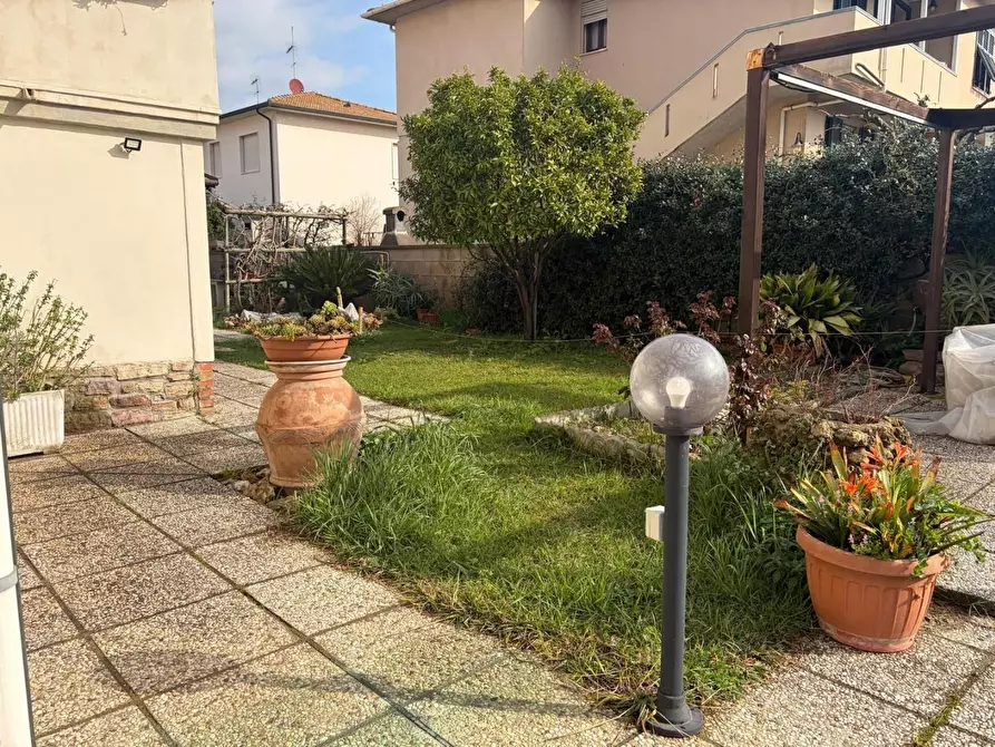 Immagine 17 di Appartamento in vendita  a Bibbona