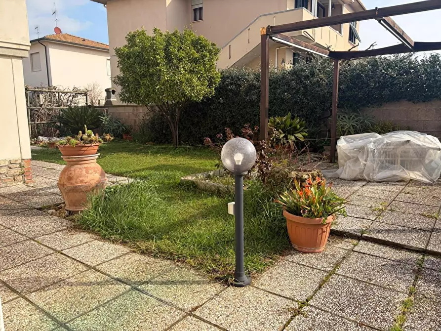 Immagine 18 di Appartamento in vendita  a Bibbona