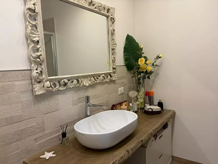 Immagine 11 di Appartamento in vendita  a Bibbona