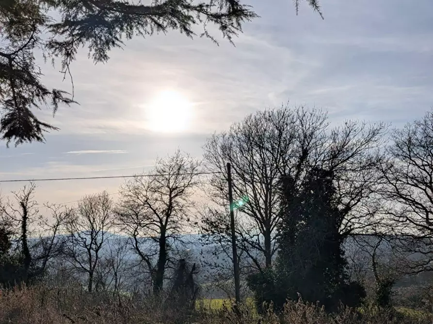 Immagine 7 di Terratetto in vendita  a Manciano