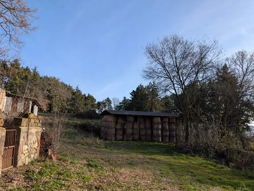 Immagine 10 di Terratetto in vendita  a Manciano
