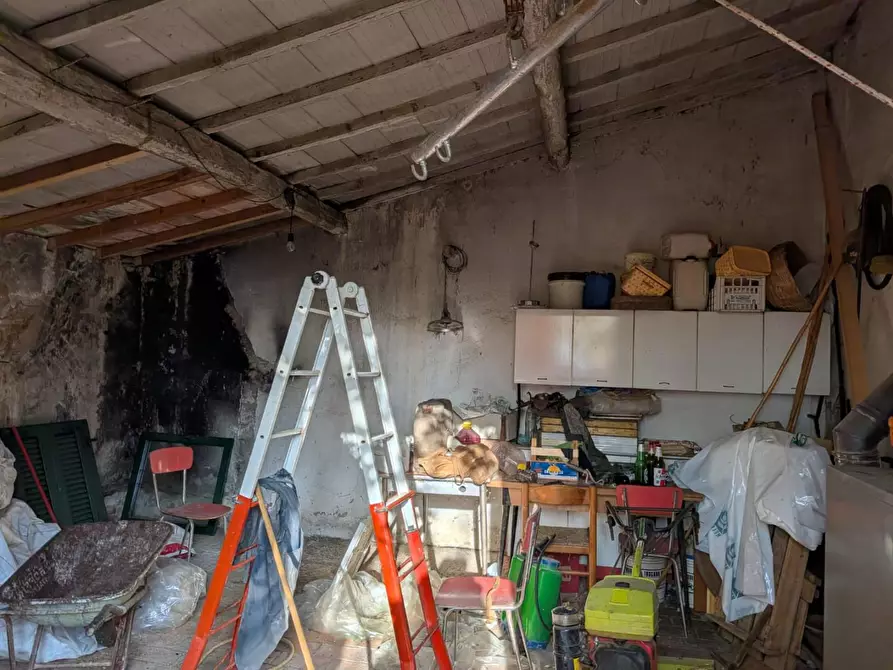 Immagine 17 di Terratetto in vendita  a Manciano