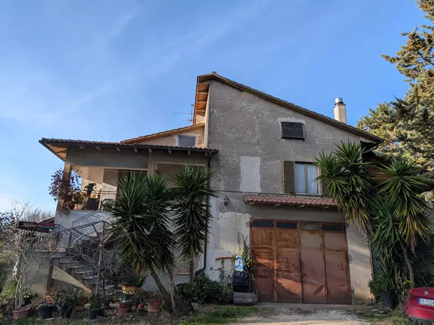 Immagine 3 di Terratetto in vendita  a Manciano