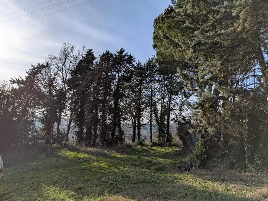 Immagine 9 di Terratetto in vendita  a Manciano