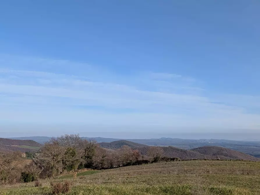 Immagine 16 di Terratetto in vendita  a Manciano