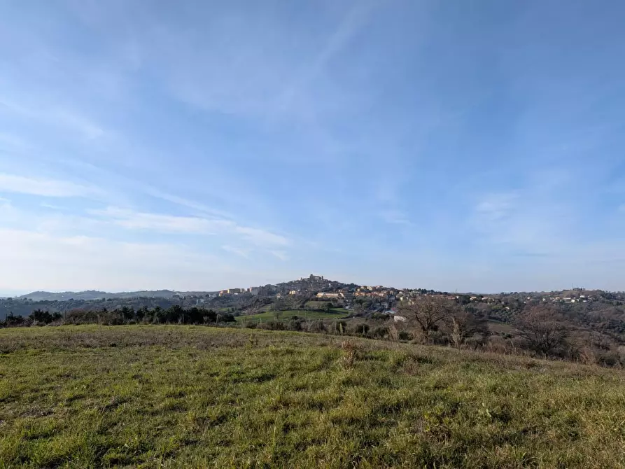 Immagine 8 di Terratetto in vendita  a Manciano
