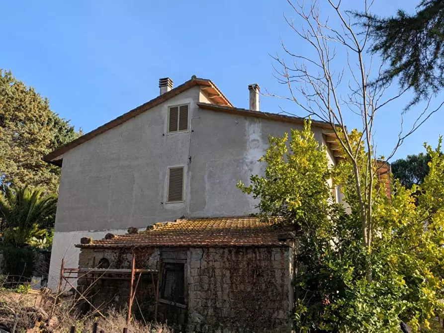 Immagine 2 di Terratetto in vendita  a Manciano