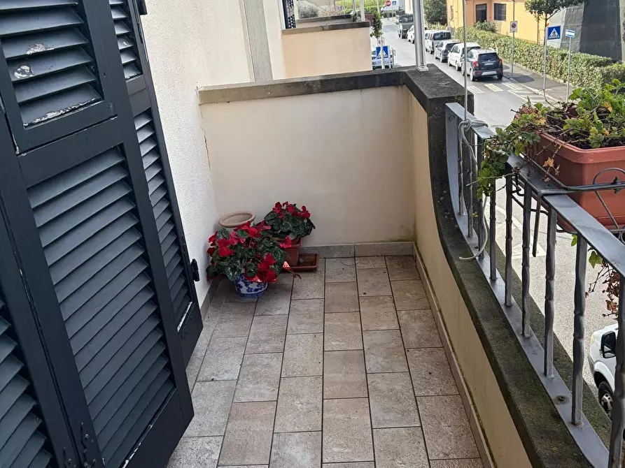 Immagine 33 di Appartamento in vendita  a Bibbona