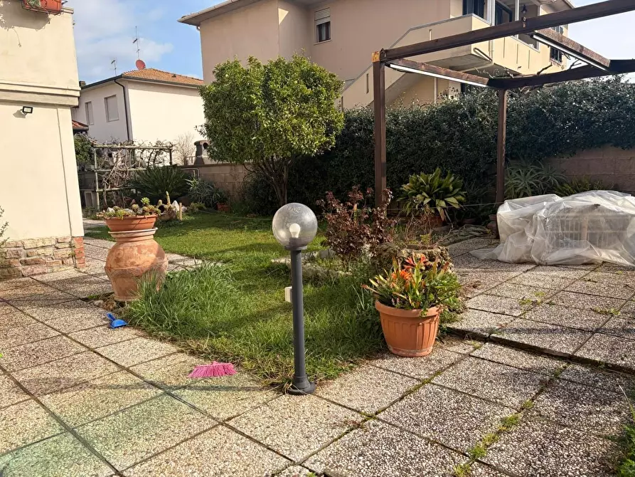 Immagine 24 di Appartamento in vendita  a Bibbona