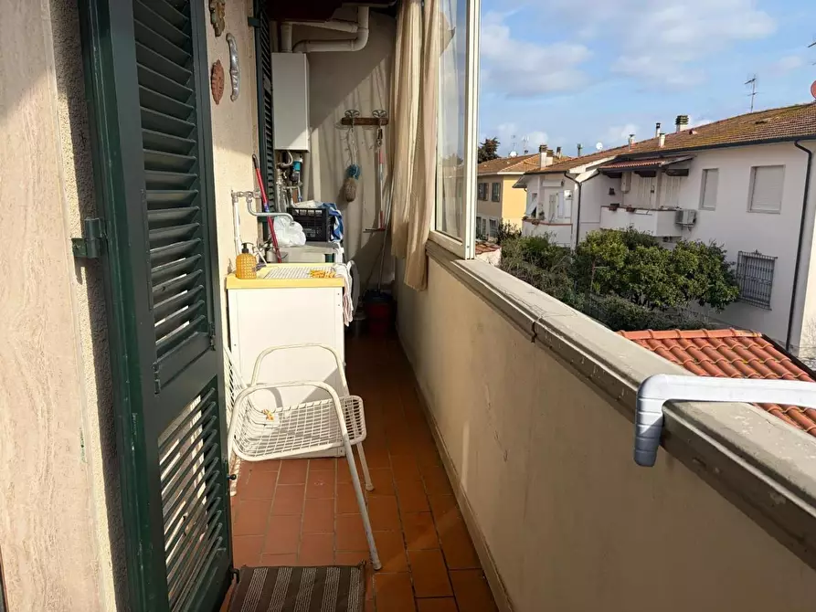 Immagine 19 di Appartamento in vendita  a Bibbona