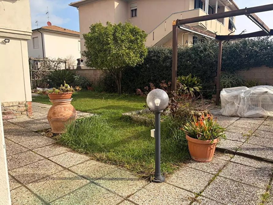 Immagine 32 di Appartamento in vendita  a Bibbona