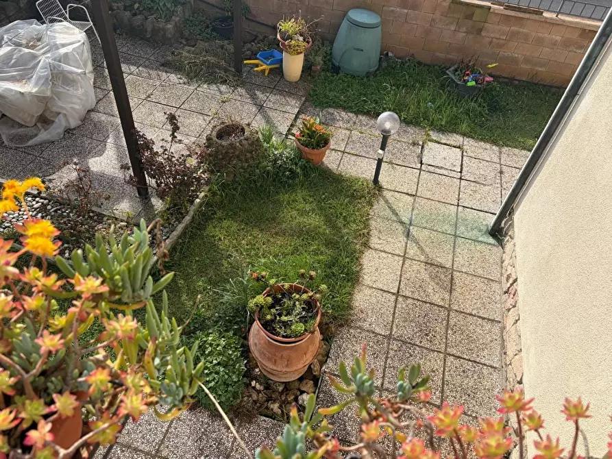 Immagine 31 di Appartamento in vendita  a Bibbona