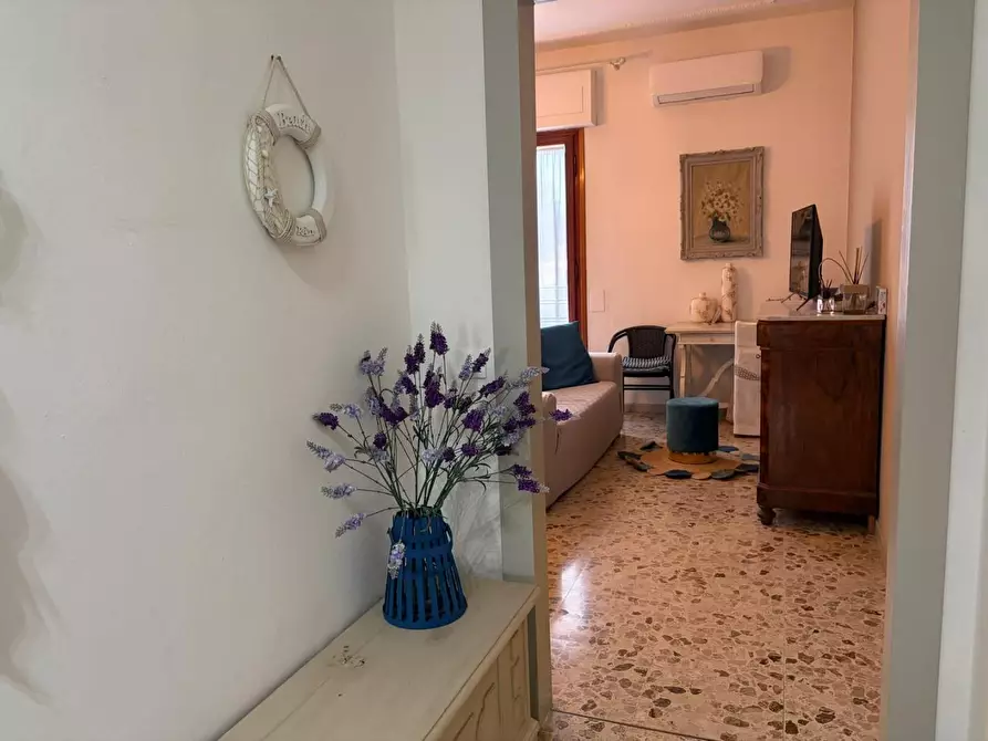 Immagine 11 di Appartamento in vendita  a Bibbona