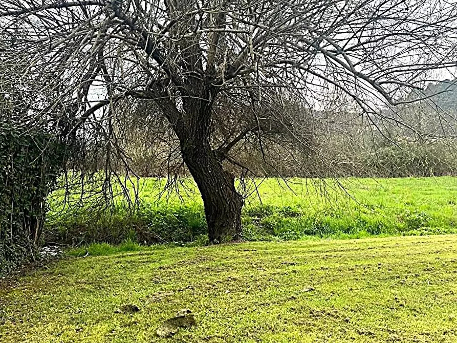 Immagine 43 di Casa indipendente in vendita  a Capannori