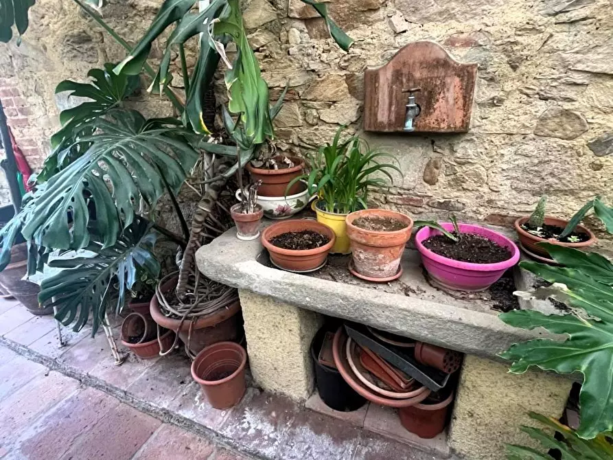 Immagine 37 di Casa indipendente in vendita  a Capannori