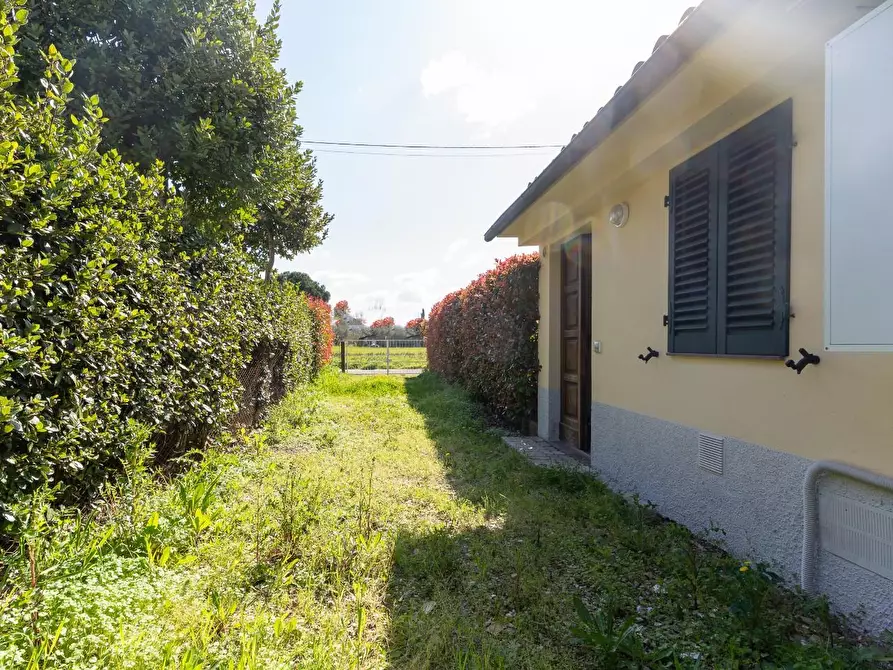 Immagine 1 di Magazzino in vendita  a Empoli