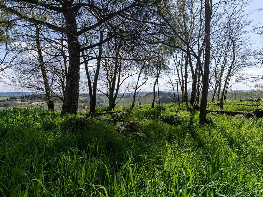 Immagine 35 di Deposito in vendita  a Vinci