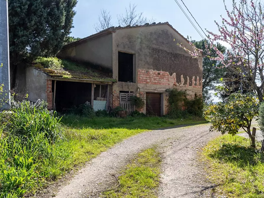 Immagine 21 di Deposito in vendita  a Vinci