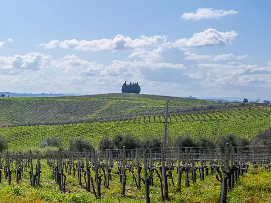 Immagine 10 di Deposito in vendita  a Vinci