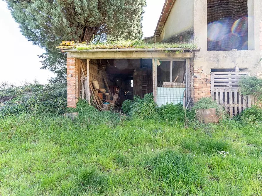 Immagine 23 di Deposito in vendita  a Vinci