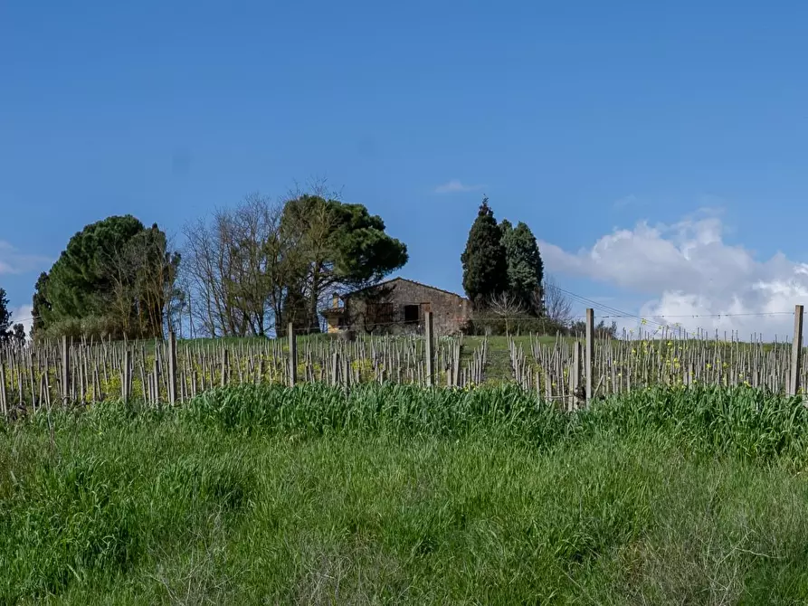 Immagine 6 di Deposito in vendita  a Vinci