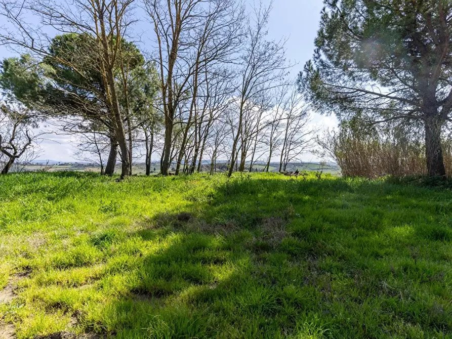 Immagine 28 di Deposito in vendita  a Vinci