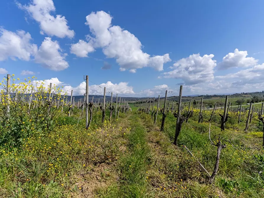 Immagine 31 di Deposito in vendita  a Vinci