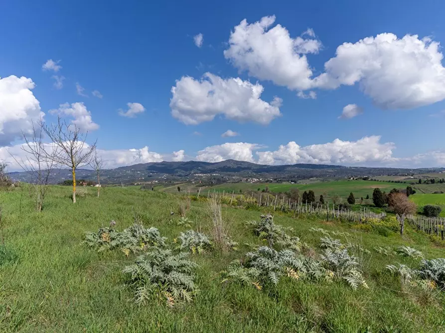 Immagine 30 di Deposito in vendita  a Vinci