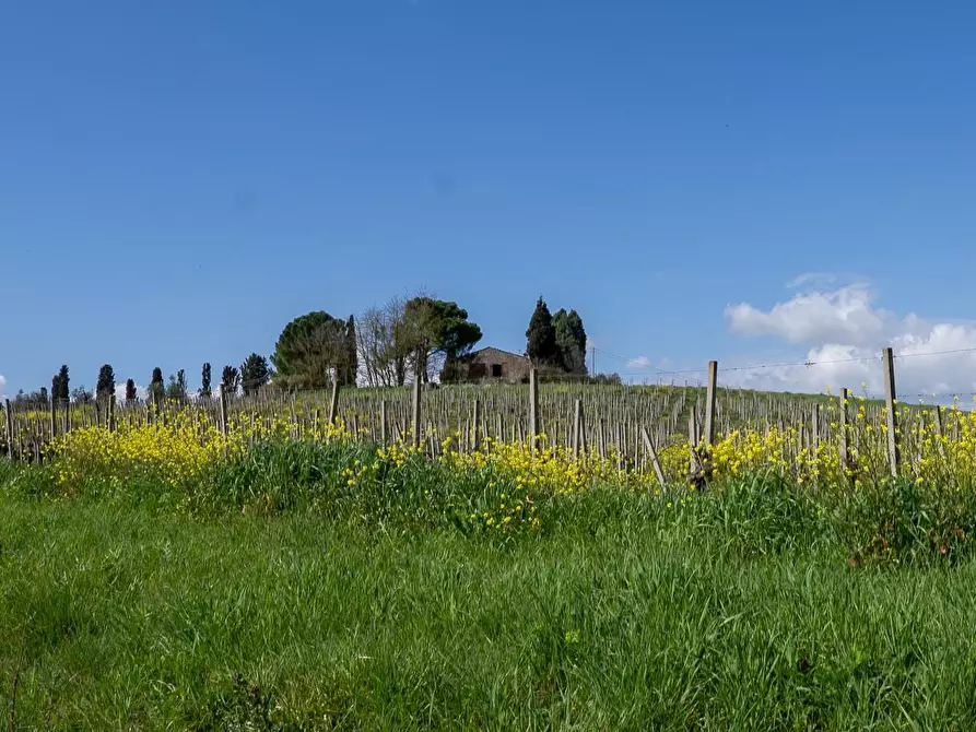 Immagine 4 di Deposito in vendita  a Vinci