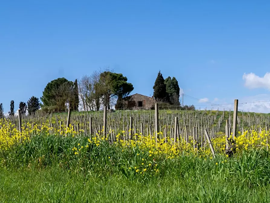 Immagine 3 di Deposito in vendita  a Vinci