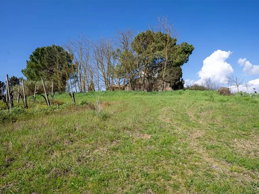 Immagine 5 di Deposito in vendita  a Vinci