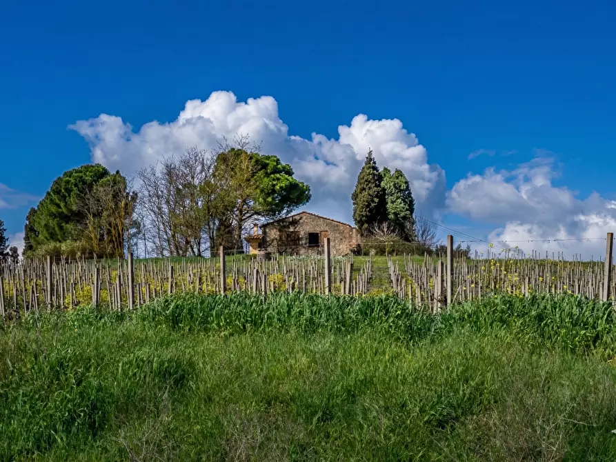 Immagine 2 di Deposito in vendita  a Vinci