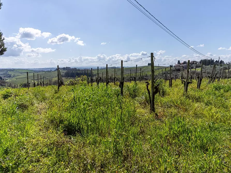 Immagine 32 di Deposito in vendita  a Vinci