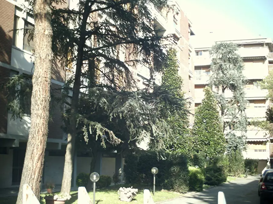 Immagine 1 di Appartamento in affitto  a Pisa