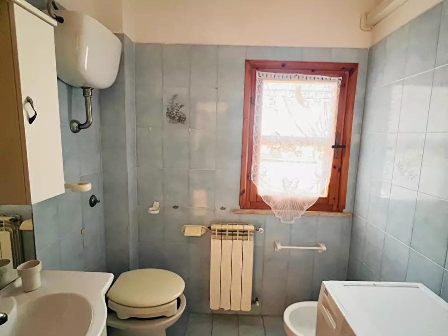 Immagine 9 di Appartamento in vendita  a Montescudaio